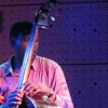 Reginald Veal - may 2011.jpg