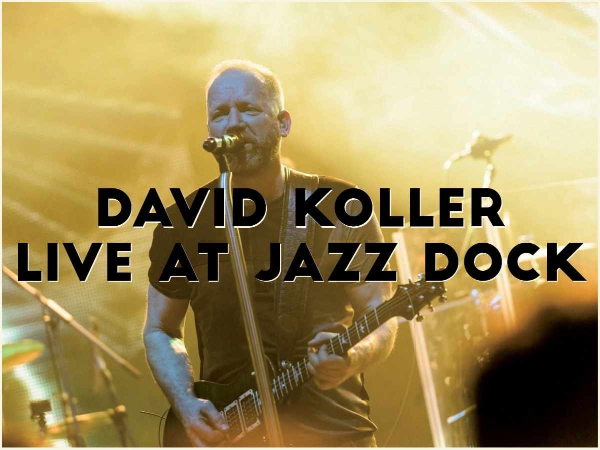 David Koller – Acoustic