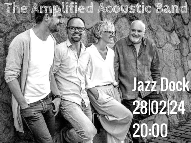 Jamie Marshall's Amplified Acoustic Band